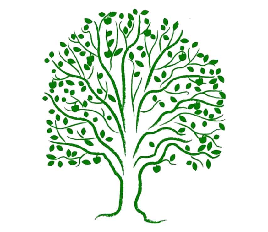 World-Federation-of-Methodist-and-Uniting-Church-Women-logo-tree